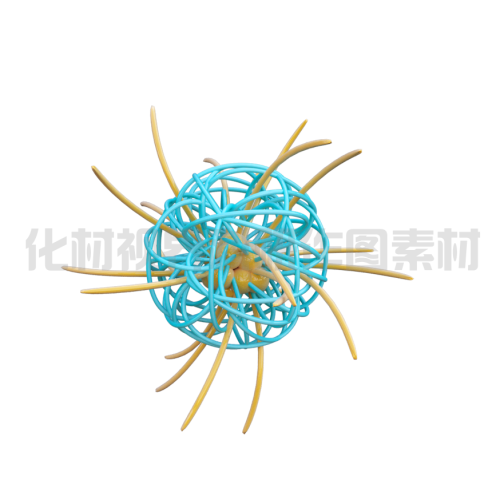 纳米线团核壳